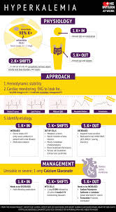 day 2 hyperkalemia the intern at work