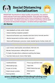 Most people know that puppy socialization includes introducing their puppy to other dogs and people. A Quick Socialization Checklist That May Be Helpful To Anyone Quarantined At Home With A New Pupper Dogtraining
