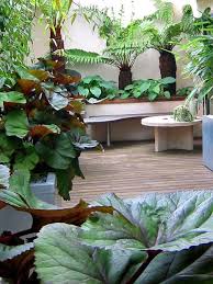 tropical garden designs modern exotic