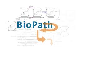 Biopath Database On Biochemical Pathways Mn Am