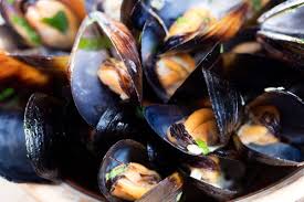 the health benefits of mussels ep