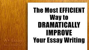 your essay writing