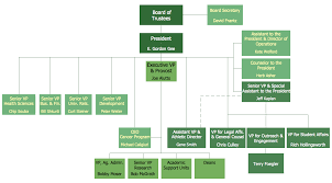 Example Of Organizational Chart Include Business Company