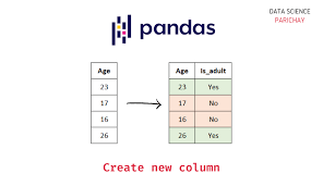 pandas create column based on a