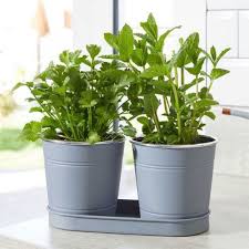 Smart Garden 1 Litre Herb Pots 2 Pack