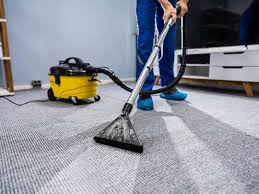 hybrid pro carpet floor care