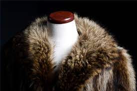 How To Remove Odor From A Fur Coat Ehow