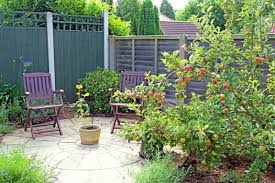 Fruit Tree Care From Planting To