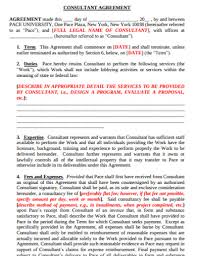 consulting agreement 12 exles