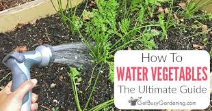 how to water a vegetable garden the