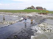 Zwei witzige wimmelbilder zum ausmalen und suchen von tieren und pflanzen im nationalpark wattenmeer. Schleswig Holstein Wadden Sea National Park Wikipedia