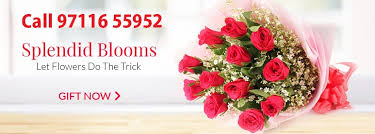 red rose delivery bangalore