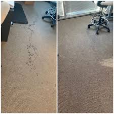 sparkling carpets carpet cleaning in