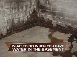 Water In The Basement