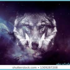 Huge collection, amazing choice, 100+ million high quality, affordable rf and rm images. Wolf Howling At The Moon Galaxy Wallpapers For Tech Galaxy Wolf Wallpaper Neat