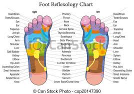 Foot Reflexology Chart Description