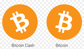 Bitcoin faucet bitcoin gold tap bitcoin cash, bitcoin, text, bitcoin png. Transparent Bitcoin Logo Png Bitcoin Logo Vs Bitcoin Cash Logo Png Download 1428x761 6836306 Pngfind