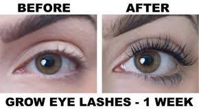 How long do eyelashes take to grow back? Grow Long Eyelashes Fast Guaranteed Result In Just 1 Week 1 2 Tbsp Coconut Oil 1 2 Tbsp Castor O How To Grow Eyelashes Grow Eyelashes Longer Longer Eyelashes