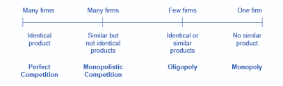 Why It Matters Perfect Competition Microeconomics