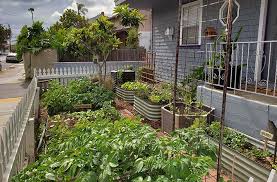 Urban Gardening Kevin Espiritu Epic