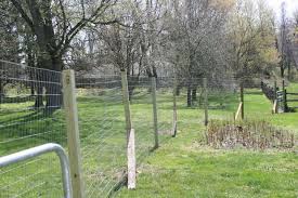 Welded Wire Fence Hot Dipped
