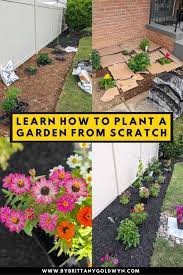 Plant A Garden From Scratch