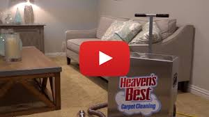 best carpet cleaning of st petersburg