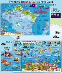 Turks And Caicos Fish Card Frankos Fabulous Maps Of
