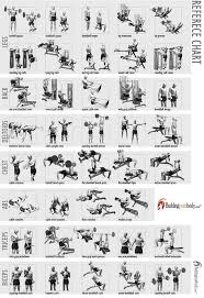 Bodybuilding Exercise Chart Gym Workout Chart