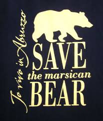 Save The Marsican Brown Bear Tee Xs To Vivo In Abruzzo T Shirt Italy Men Women Unisex Fashion Tshirt Black On T Shirt Tourist Shirts From