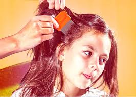 lice treatment for kids don t panic