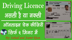 how to check driving licence