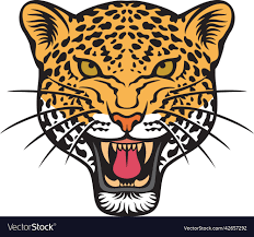 jaguar face head color royalty
