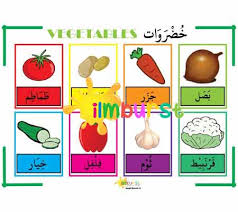Arabic Vocabulary Vegetable Chart Ilmburst