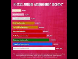 Plexus Worldwide Compensation Plan Section 2 Overview