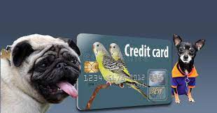 And we're not just referring to large vet bills — the cost of toys, food, and routine healthcare add up really fast. The Topic Here Is Using A Credit Card To Pay Veterinarian Bills Stock Image Image Of Creditcard Cards 125494297
