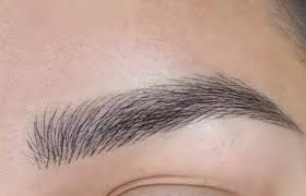 nadas eyebrows from 162 36