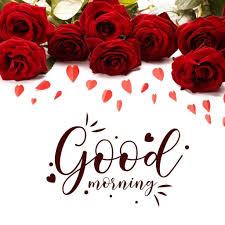 82 stunning good morning rose images to