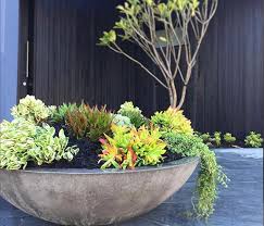 the litestone zen planter bowl is a