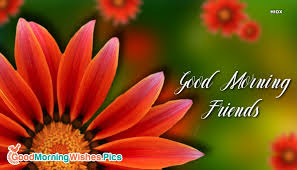 friends wallpaper goodmorningwishes pics