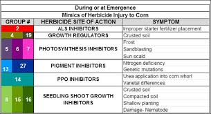 Herbicide Injury Diagnosis For Corn Seedlings At Emergence