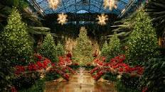 Longwood Gardens Christmas & Buckley's 24