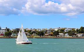 best family areas in auckland new
