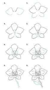 Make your kids learn how to draw a rose step by step. Cool But Easy Flowers To Draw Garemesal
