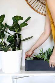 5 self watering planter hacks you have