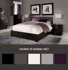 black bedroom color schemes ideas