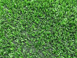 artificial turf why we shouldn t