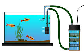 Strip off the end of your usb cable. 27 Betta Fish Tank Ideas Wonderfully Creative Designs