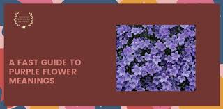a fast guide to purple flower meanings