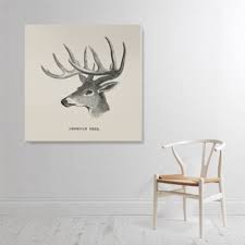 American Deer Canvas Wall Art